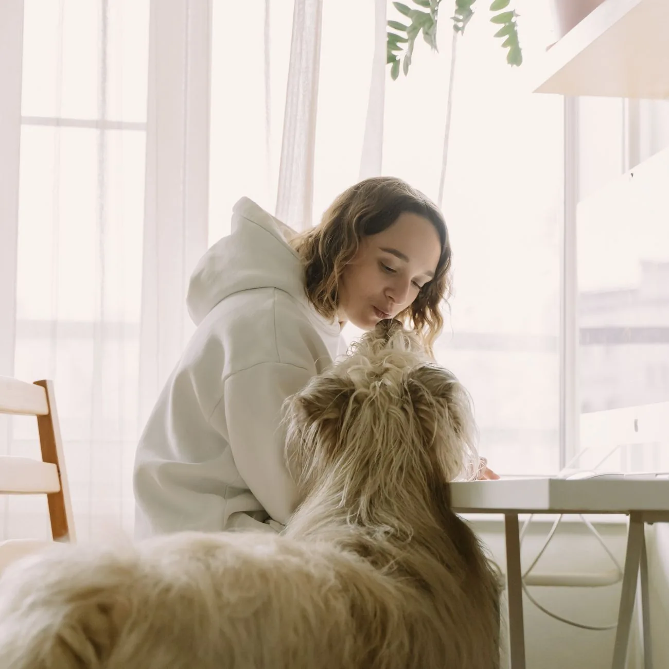A pet owner and her dog in warm window light at home in HSR Layout